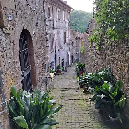 Apartament Il Rifugio Del Borgo Cave